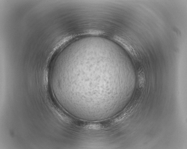X0000116440350200912221529
