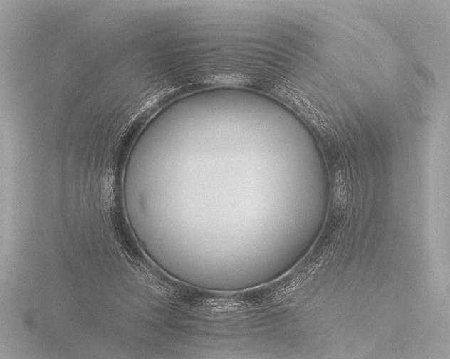 X0000116440351200912221529