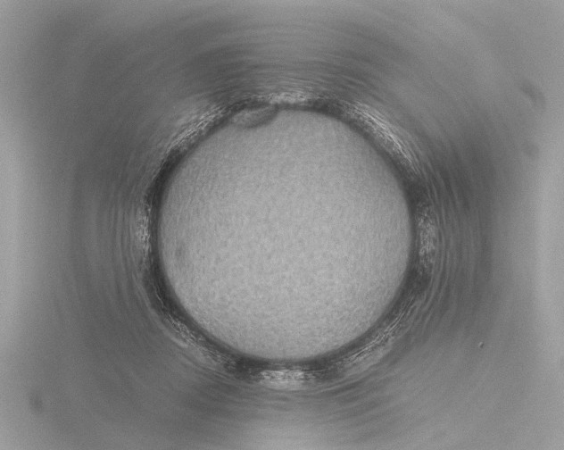 X0000116440362200912221529