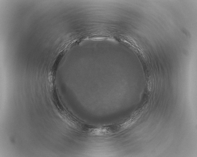 X0000116440366200912221529