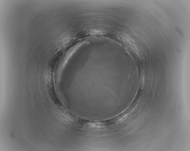 X0000116440367200912221529