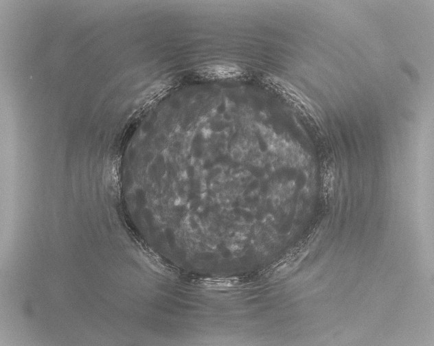 X0000116440373200912221529