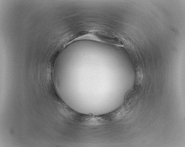 X0000116440379200912221529
