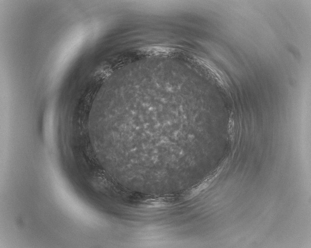 X0000116440381200912221529
