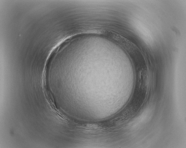 X0000116440388200912221529