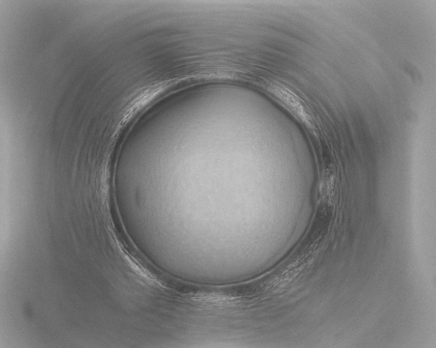 X0000116440389200912221529