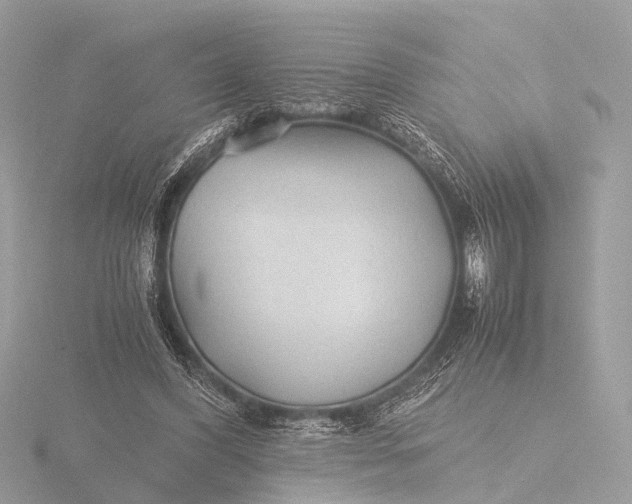 X0000116440396200912221529