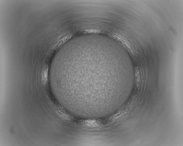 X0000116440406200912221528