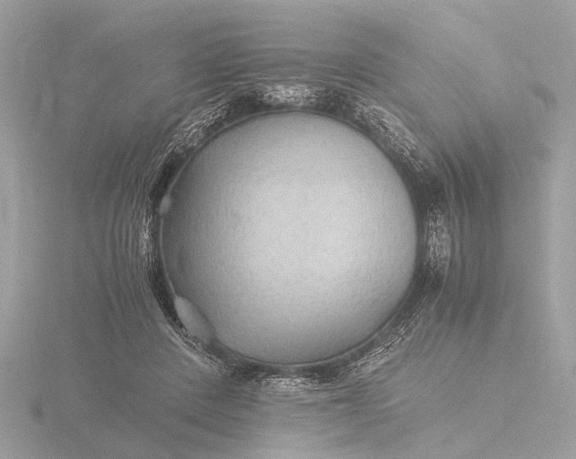 X0000116440408200912221528