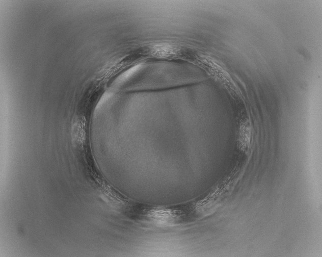 X0000116440413200912221528