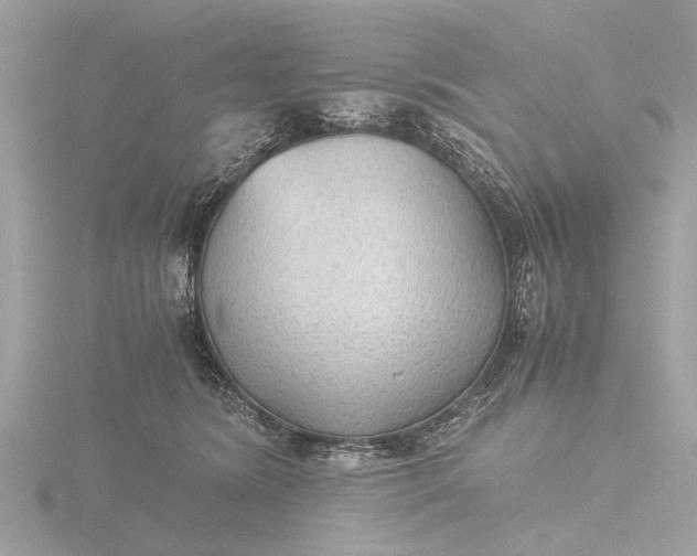 X0000116440420200912221528
