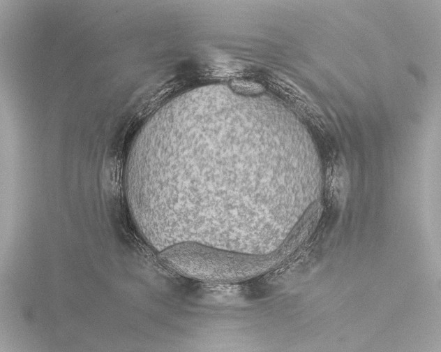 X0000116440421200912221528