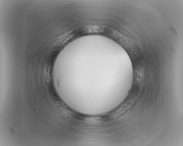 X0000116440422200912221528