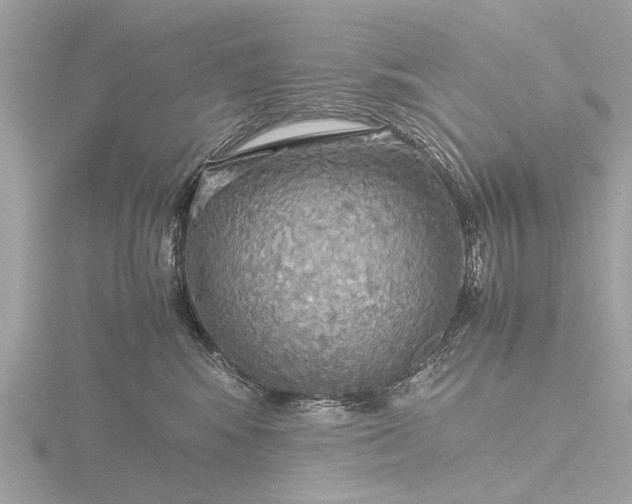 X0000116440424200912221528
