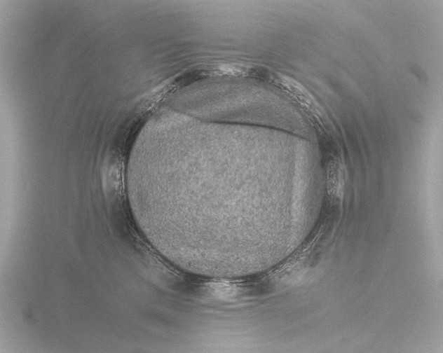 X0000116440425200912221528