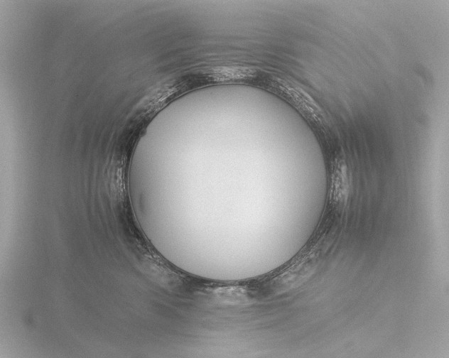 X0000116440426200912221528