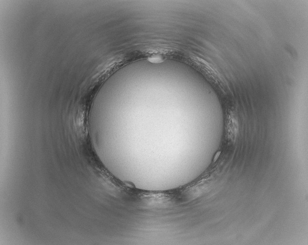 X0000116440428200912221528