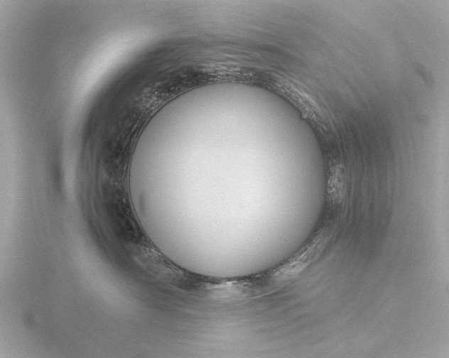 X0000116440430200912221528