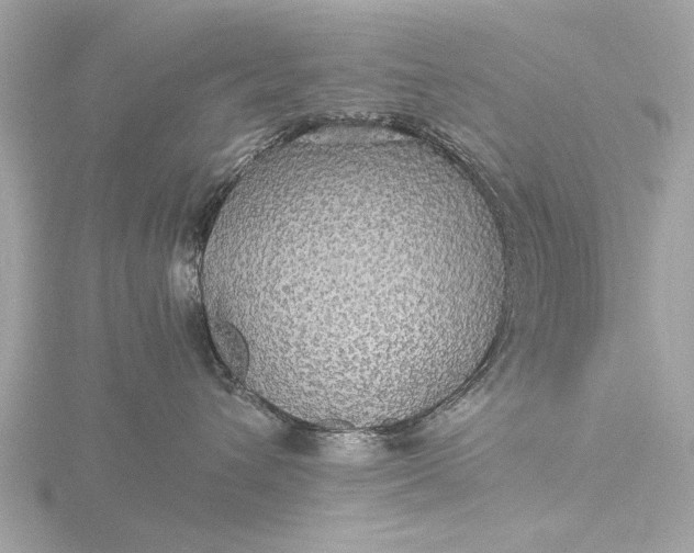 X0000116440432200912221528