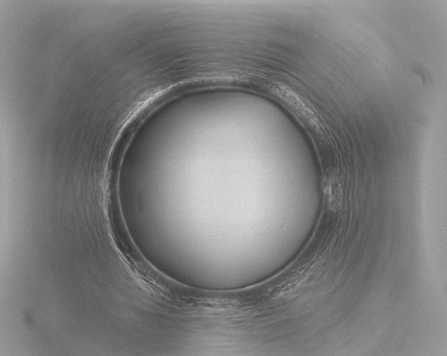 X0000116440436200912221528