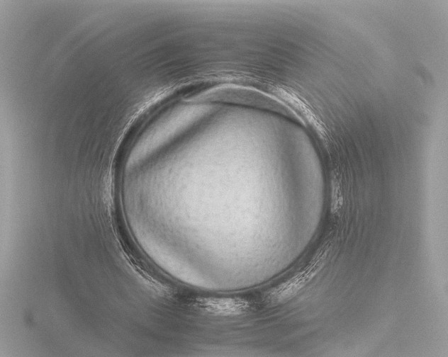 X0000116440439200912221528