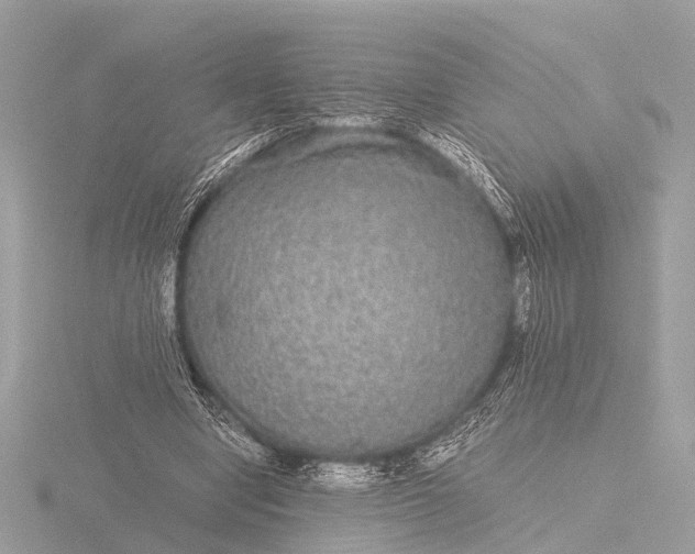 X0000116440442200912221528
