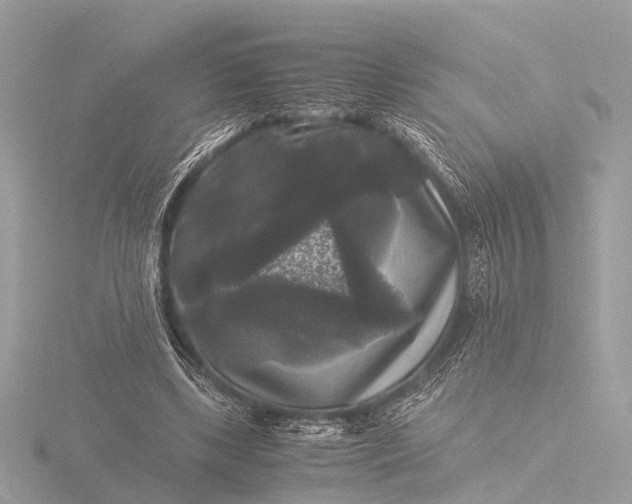 X0000116440443200912221528