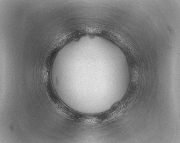 X0000116440456200912221528