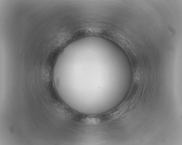 X0000116440464200912221528