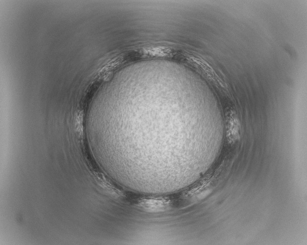 X0000116440466200912221528