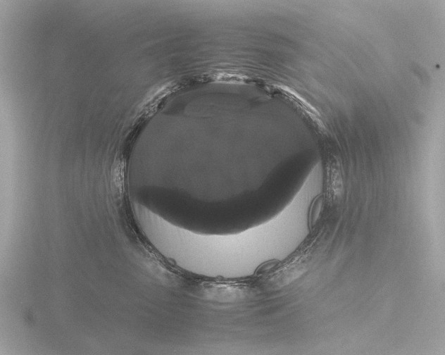 X0000116440475200912221528