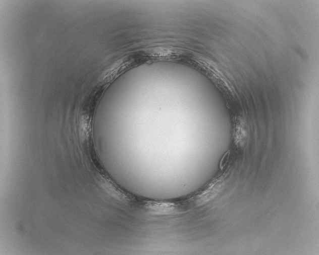 X0000116440476200912221528