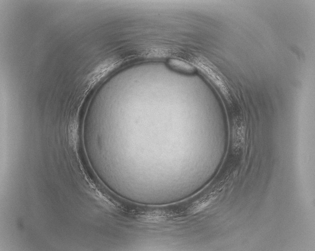 X0000116440485200912221527