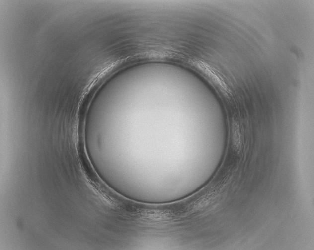 X0000116440486200912221527