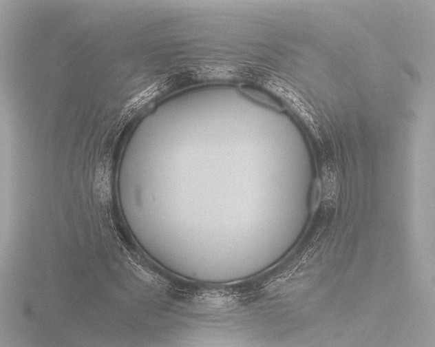X0000116440489200912221527