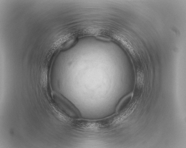 X0000116440493200912221527