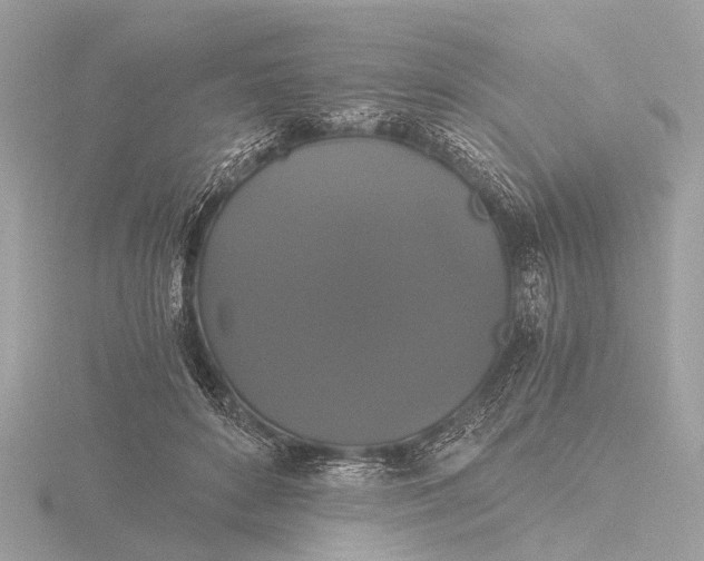 X0000116440504200912221527
