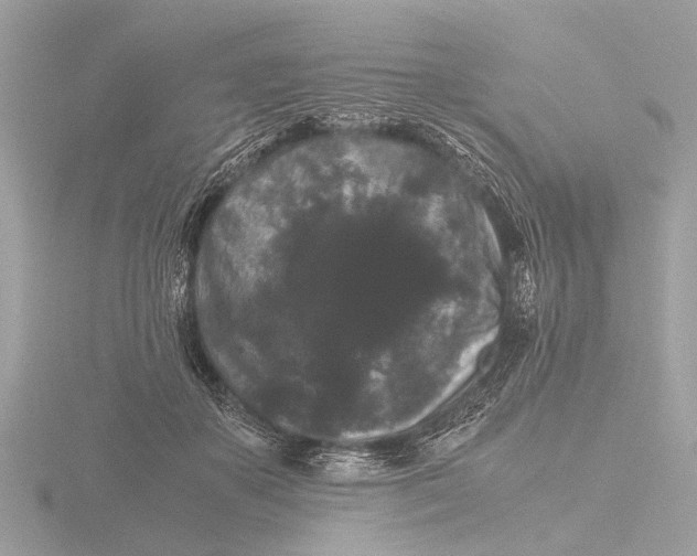 X0000116440507200912221527