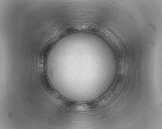 X0000116440510200912221527