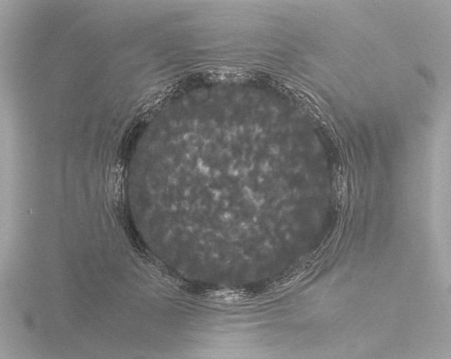 X0000116440511200912221527