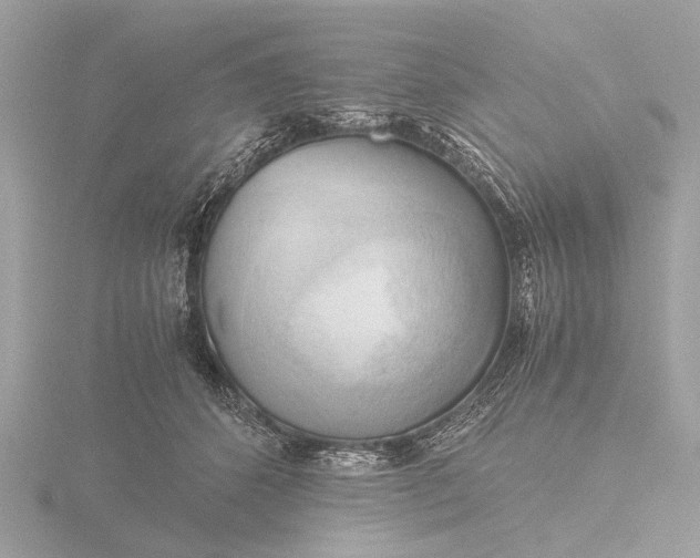 X0000116440512200912221527