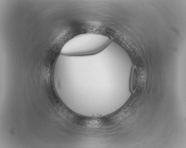X0000116440513200912221527