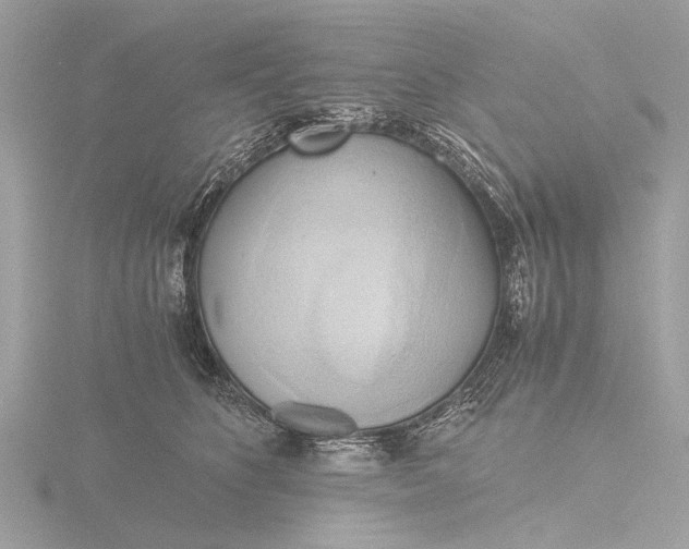 X0000116440516200912221527