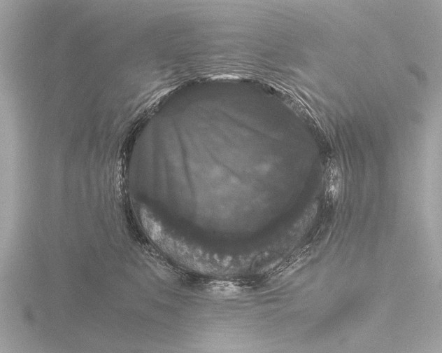 X0000116440519200912221527