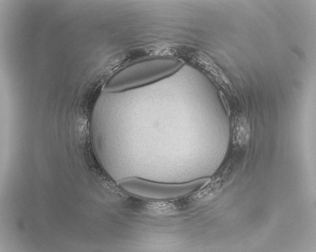 X0000116440521200912221527