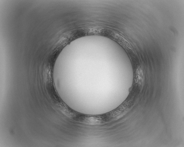X0000116440522200912221527