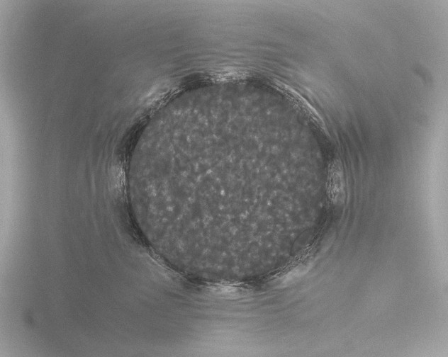 X0000116440523200912221527