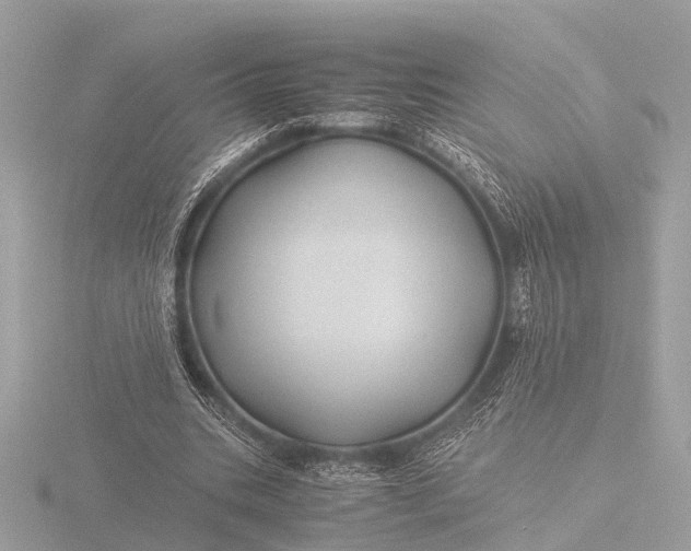 X0000116440535200912221526