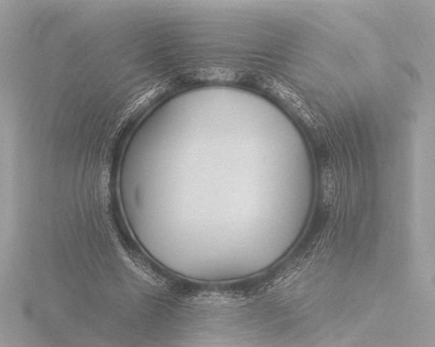 X0000116440538200912221526
