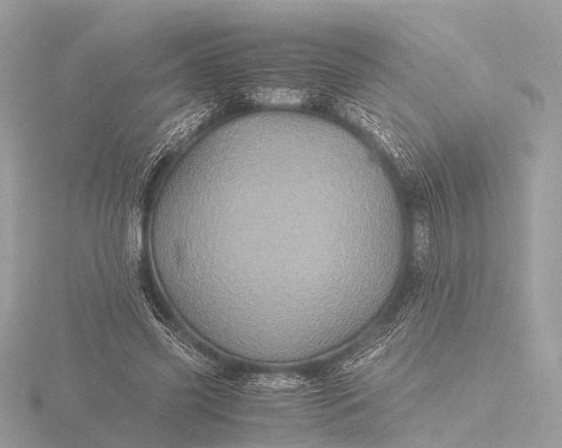 X0000116440541200912221526